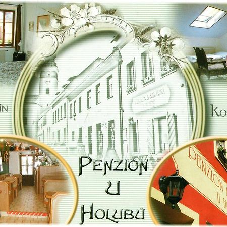 Penzion U Holubu Novy Jicin Exterior photo