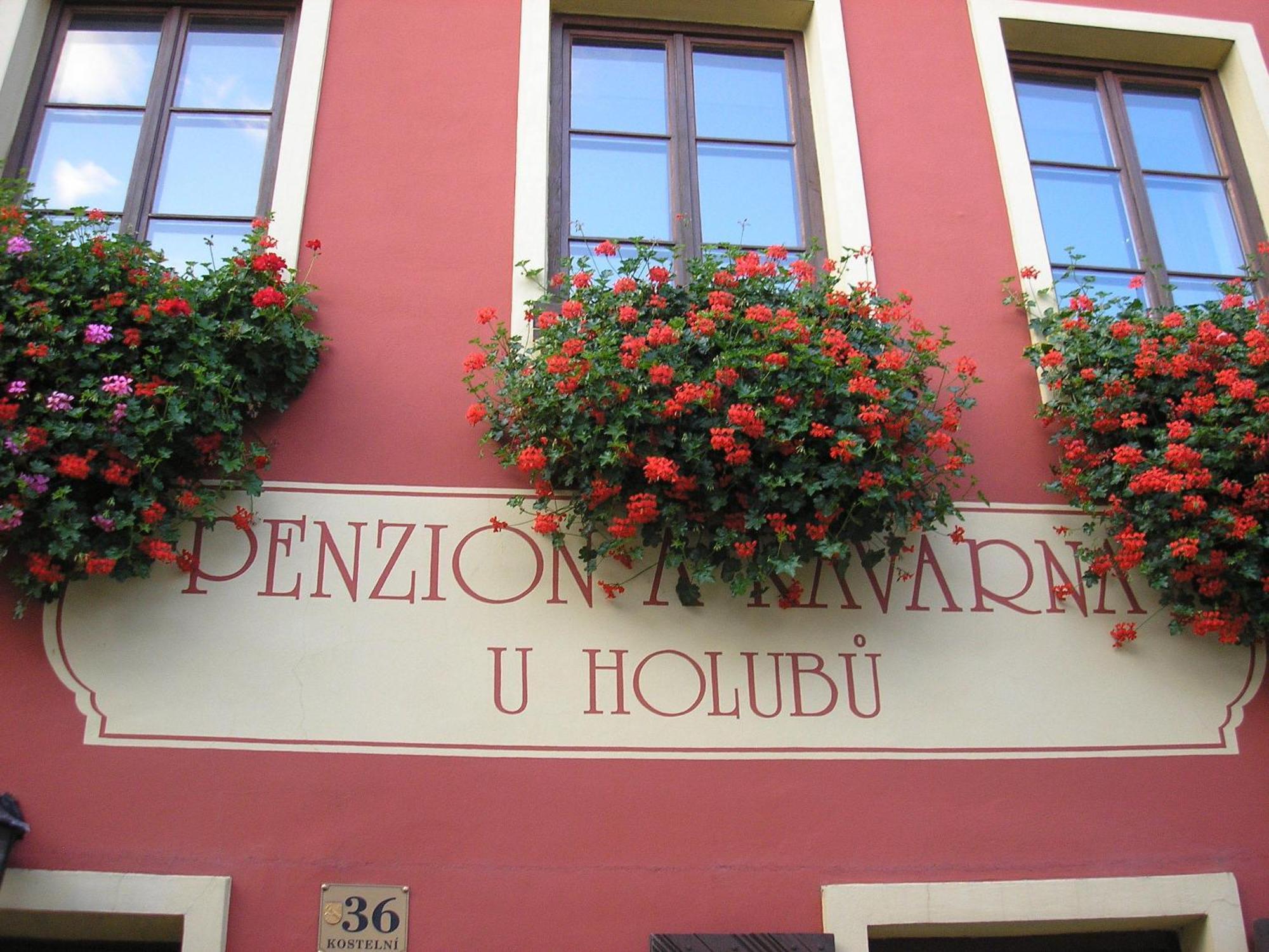 Penzion U Holubu Novy Jicin Exterior photo
