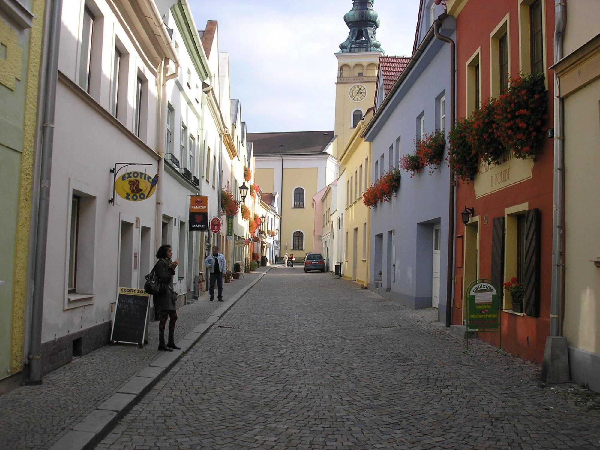 Penzion U Holubu Novy Jicin Exterior photo